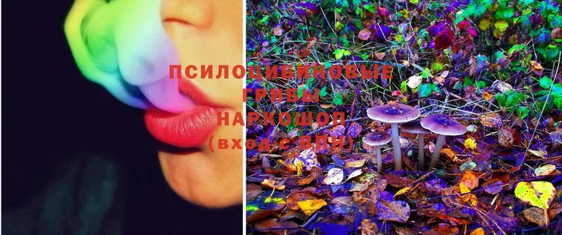 Галлюциногенные грибы MAGIC MUSHROOMS  hydra ССЫЛКА  Ишимбай 